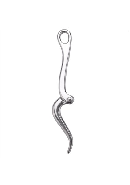 4pcs 100MM Pelican Hook &amp Eye Hızlı Serbest Bırakma Bağlantısı Paslanmaz Çelik 316 Deniz Tekne Donanımı (Yurt Dışından) indirimleri