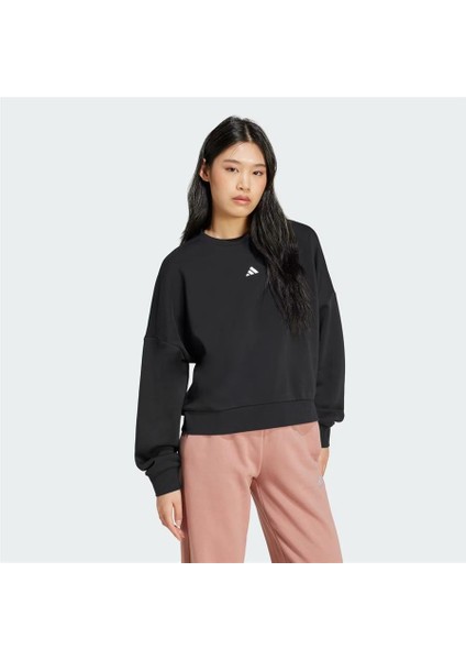 W Sl Fc Swt modelleri