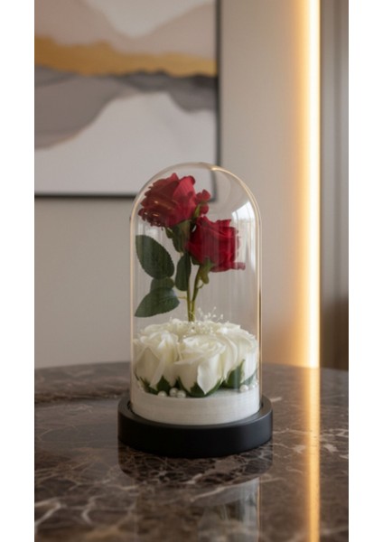 Solmayan Gül Fanus | Sevgiliye Hediye Kırmızı Beyaz Islak Beyaz&kırmızı Gül Teraryum