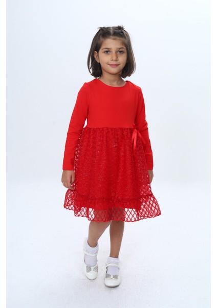 Kız Çocuk Fırfırlı Tüllü Elbise