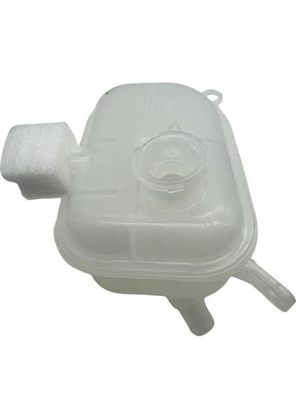 Motor Soğutucu Kurtarma Taşma Rezervuarı Genişleme Tank Yardımcı Su TANK254312H100 25431-2H100 Hyundai Elanter Için (Yurt Dışından) fiyatları