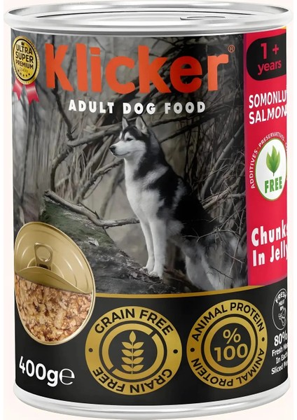 Klıcker 12 Adet Jöleli Parça Etli Yetişkin Köpek Konserve Yaş Maması Somonlu 400 gr