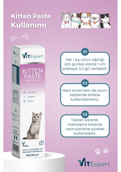 Kitten Paste Yavru Kediler Için Multi Vitamin Kas Gelişimi Destekleyici Malt Macun 100 gr indirimleri
