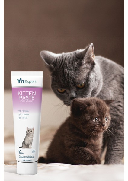 Kitten Paste Yavru Kediler Için Multi Vitamin Kas Gelişimi Destekleyici Malt Macun 100 gr
