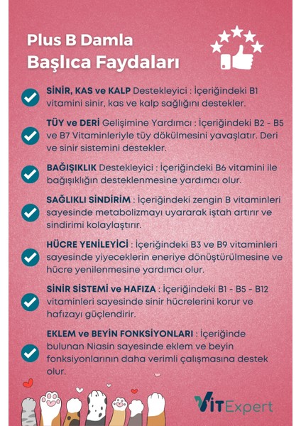 Plus B Tüm Kediler Için Tüy Dökülmesi Önleyici Tüy Sağlığı Destekleyici Multi Vitamin Damla 50 ml fırsatları