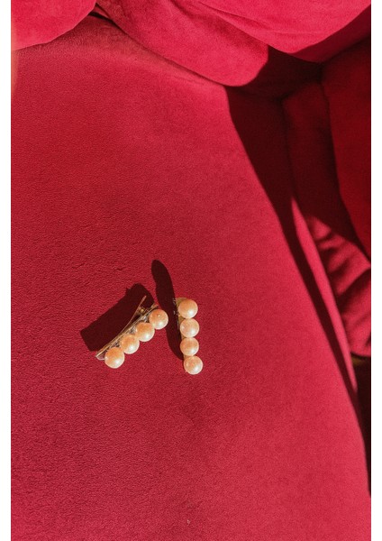 Inci Detaylı Pens Toka-Inci Toka-Saç Tokası modelleri