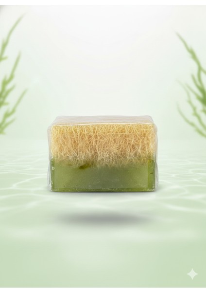 Doğal Yosun Kabak Lifli Sabun fiyatları