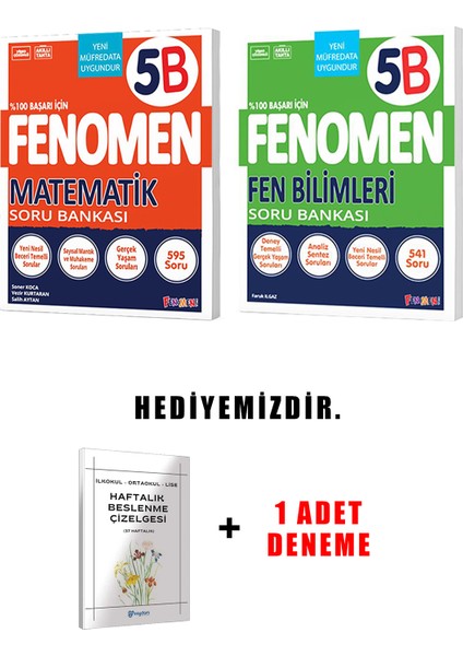 Fenomen Yayınlıcılık 5.sınıf B Grubu 2'li Set (Güncel)