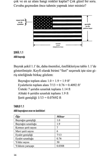 Pizzaları Dilimlemek, Kaplumbağaları Yarıştırmak ve Matematikteki Diğer Maceralar - Robert B. Banks