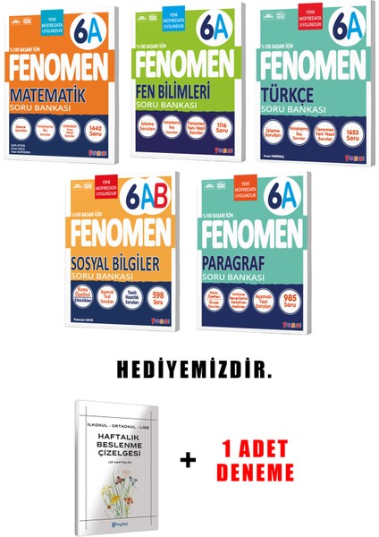 Fenomen Yayınlıcılık 6.sınıf A Grubu 5'li Set (Güncel) fırsatları