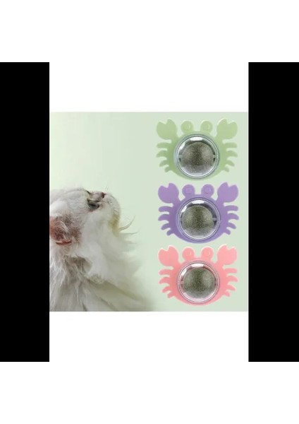 Yengeç Kedi Otu Oyun Topu fırsatları