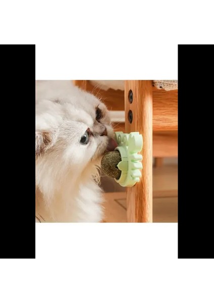 Yengeç Kedi Otu Oyun Topu indirimleri