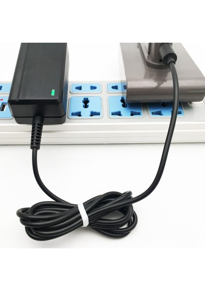 Dyson DC30 Elektrikli Süpürge Aksesuarları Güç Adaptörü - Ab Fişi (Yurt Dışından) fırsatları