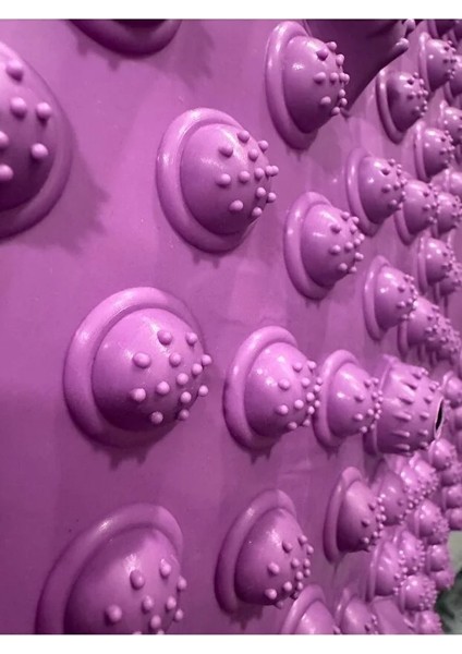 Manyetik Terapi Refleksoloji Ayak Masaj Matı – Dayanıklı Sert Plastik