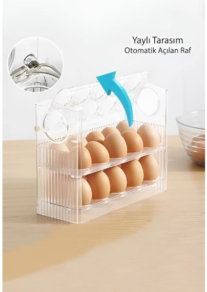 Katlı Yumurtalık Buzdolabı Organizeri Saklama Kabı 30 Bölmeli Raflı Yumurta Kutusu Düzenleyici (Şeffaf, 1 Adet) modelleri