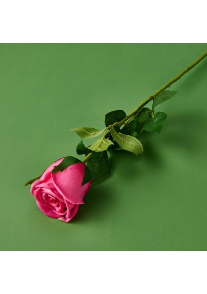 Time Islak Gül Dalı - Asorti - 50 cm fiyatları