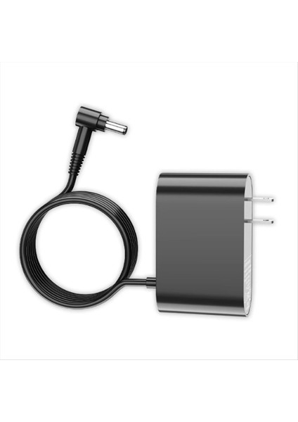 Dyson V10 V11 V12 Kablo Abd Fişi Için 30,45V Güç Kablosu Yedeği (Yurt Dışından)