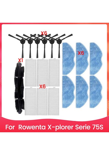 Rowenta x Plorer Serie 75S Elektrikli Süpürge Için Filtre ve Fırça Seti (Yurt Dışından)