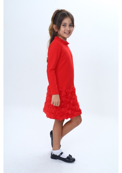 Kız Çocuk Yaka Fırfır Etek 3D Güllü Elbise modelleri