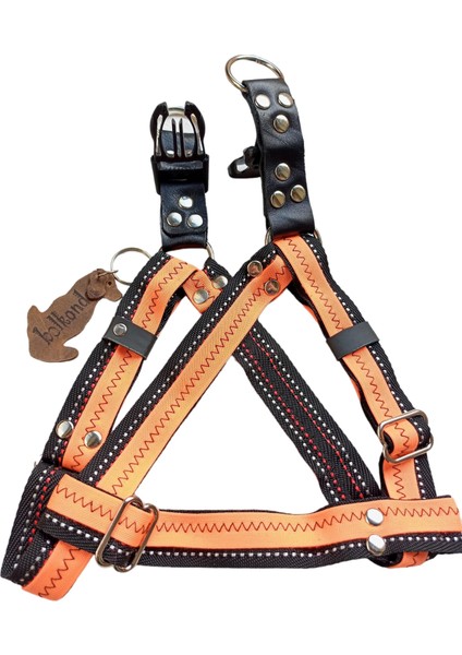 Köpek Göğüs Tasması Küçük ve Orta Irk Ayarlamalı Kolon Kordon Turuncu