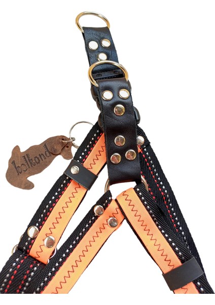 Köpek Göğüs Tasması Küçük ve Orta Irk Ayarlamalı Kolon Kordon Turuncu fırsatları