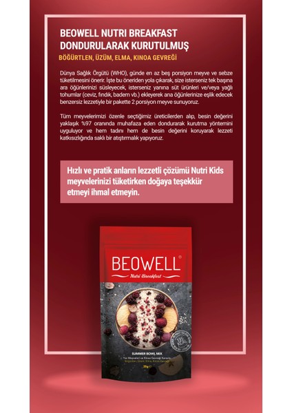 Nutri Breakfast – Summer Bowl Mix - Freeze Dried Dondurularak Kurutulmuş Kahvaltılık Gevrek Karışımı