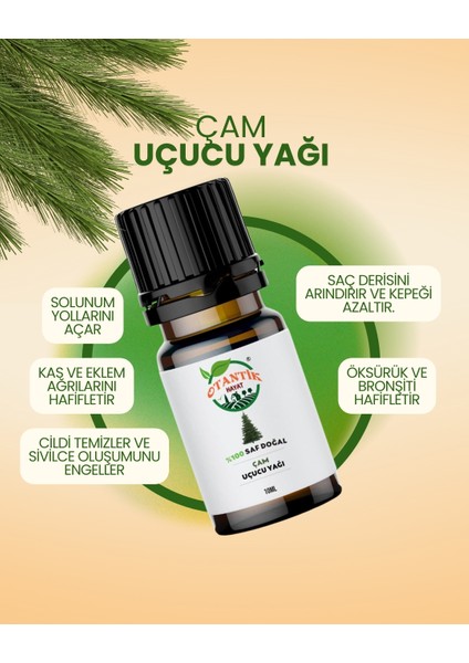 Çam Uçucu fiyatları