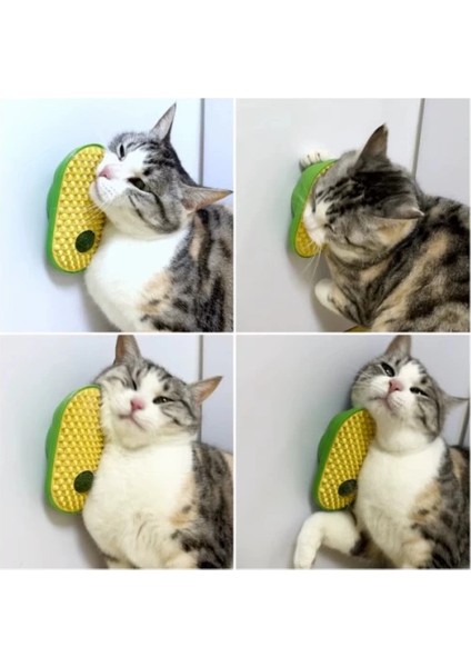 Silikon Kaşıyıcılı Kedi Otu fırsatları