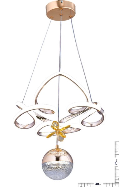 Hale Tek Top fiyatları