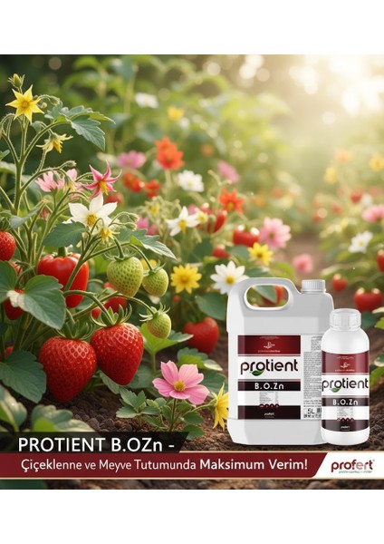 Protient Bozn 5 Lt – Azot, Fosfor, Bor, Çinko, Organik Madde Içeren Güçlü Bitki Besin Kompleksi | Yaprak ve Toprak Uygulamalı Gübre fiyatları