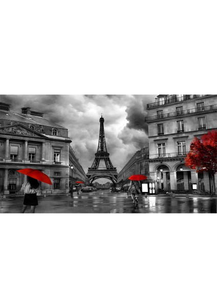 Siyah Beyaz Paris Eyfel Kulesi Desenli Silinebilir Kumaş Duvar Kağıdı - En x Boy modelleri