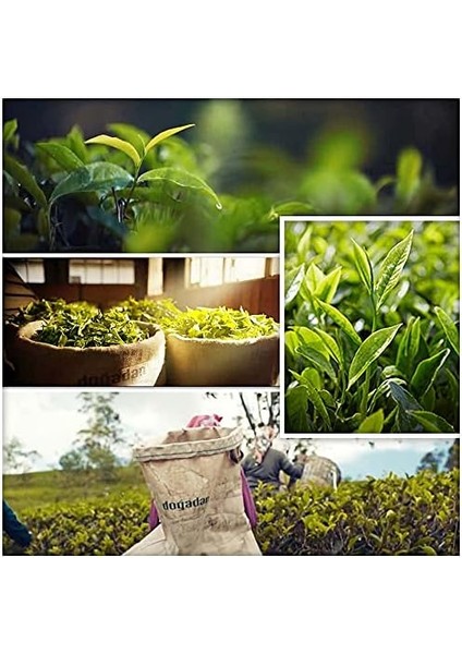 Doğadan Gizli Bahçe Demlik Poşet Siyah Çay (Klasik, 100 Adet)