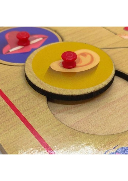 Ahşap Tutmalı Organlar Puzzle fırsatları