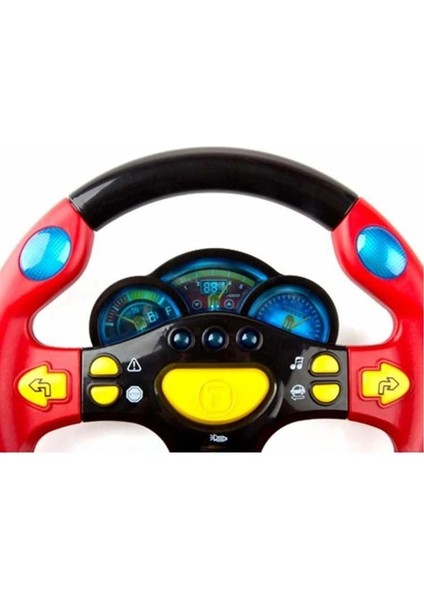 Direksiyon Türkçe Işıklı Sesli fiyatları