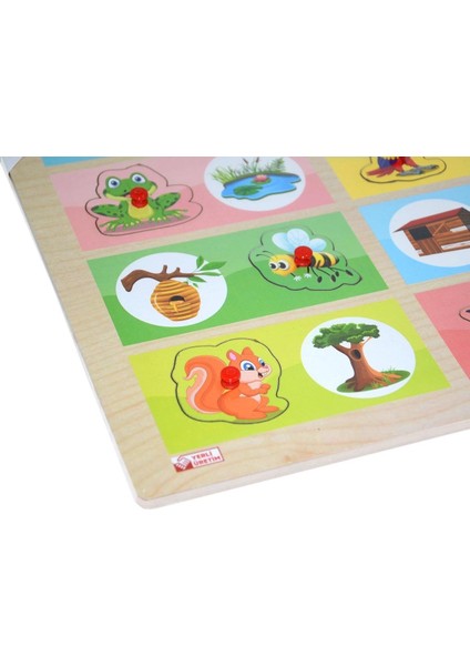 ONY-363-364 Ahşap Tutmalı Eşleştirme Hangi Hayvan Nerede Yaşar -Onyıl modelleri