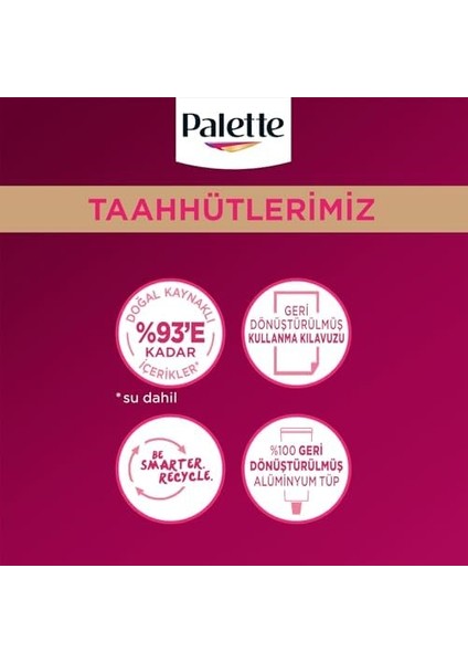 Palette Deluxe Saç Boyası 10-0 Açık Sarı 50 Mililitre