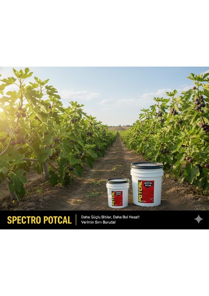Spectro Potcal N:(No₃-N) + K₂o:13 + Cao:13 – Jel Form Kalsiyum ve Potasyumlu Sıvı Gübre 20 kg – Yüksek Teknoloji Üretim