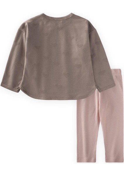 Uzun Kollu T-Shırt Takım 1-7 Yaş Vizon fiyatları