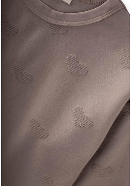 Uzun Kollu T-Shırt Takım 1-7 Yaş Vizon modelleri