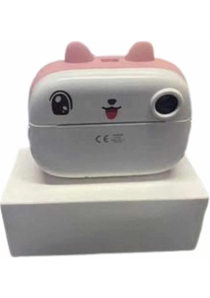 Bfs Dijital Hd Video Kamera Çocuk Fotoğraf Makinesi Anlık Termal Rulo modelleri