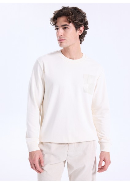 Bisiklet Yaka Taş Erkek Sweatshırt ACE052261046_TAS