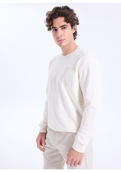 Bisiklet Yaka Taş Erkek Sweatshırt ACE052261046_TAS modelleri