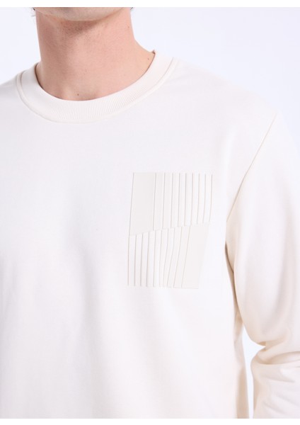 Bisiklet Yaka Taş Erkek Sweatshırt ACE052261046_TAS fırsatları