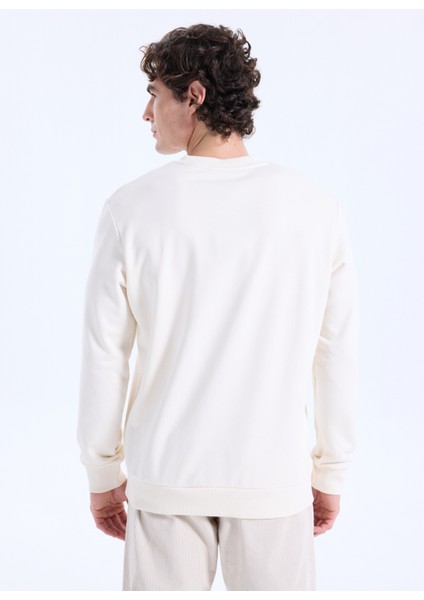 Bisiklet Yaka Taş Erkek Sweatshırt ACE052261046_TAS indirimleri