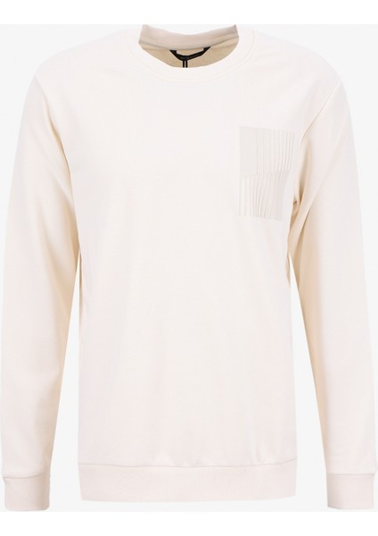 Bisiklet Yaka Taş Erkek Sweatshırt ACE052261046_TAS