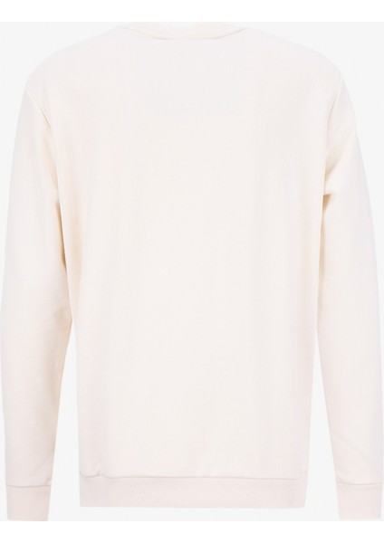 Bisiklet Yaka Taş Erkek Sweatshırt ACE052261046_TAS