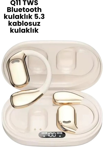 Bfs Çeviri Kulaklığı Q11