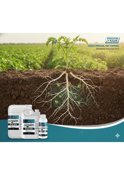 Proxın Fulvo Sıvı Organik Gübre (1 Lt) – %20 Organik Madde + %15 Humik & Fulvik Asit + %0.1 Fulvik Asit + %15 K₂o | Toprak Yapısını Güçlendiren, Besin Alımını Artıran Güçlü Sıvı Organik Gübre modelleri
