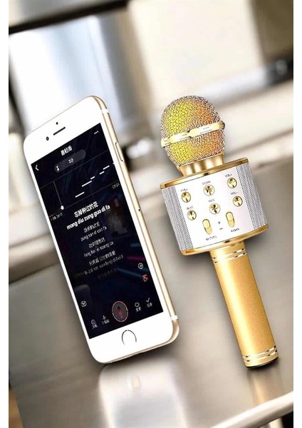 Bfs Şarjlı ve Uzun Pil Ömürlü Karaoke Mikrofon USB Bellek Destekli, Profesyonel Ses