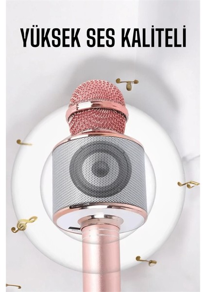 Bfs Taşınabilir Bluetooth Karaoke Mikrofon: Hafıza Kart Girişli, Etkileyici Performans fırsatları